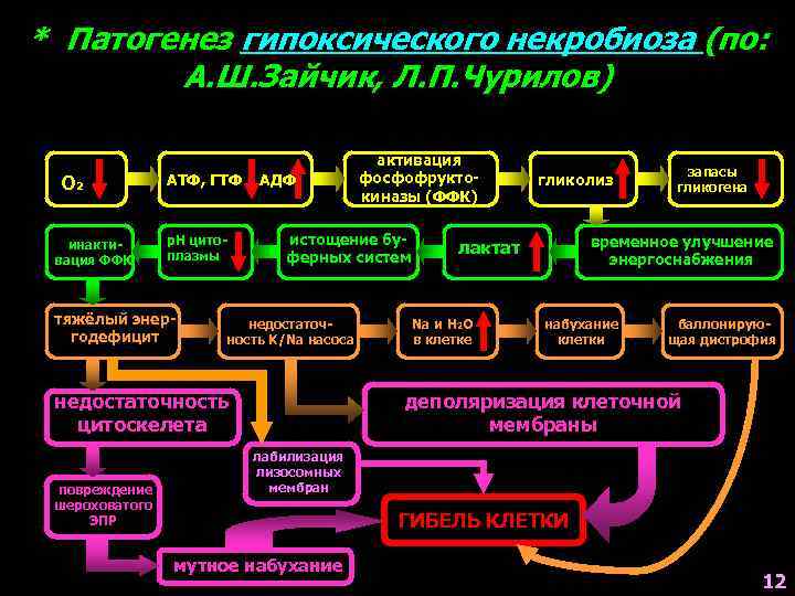 Механизмы гипоксического повреждения клетки. Этапы развития учения о патологии.