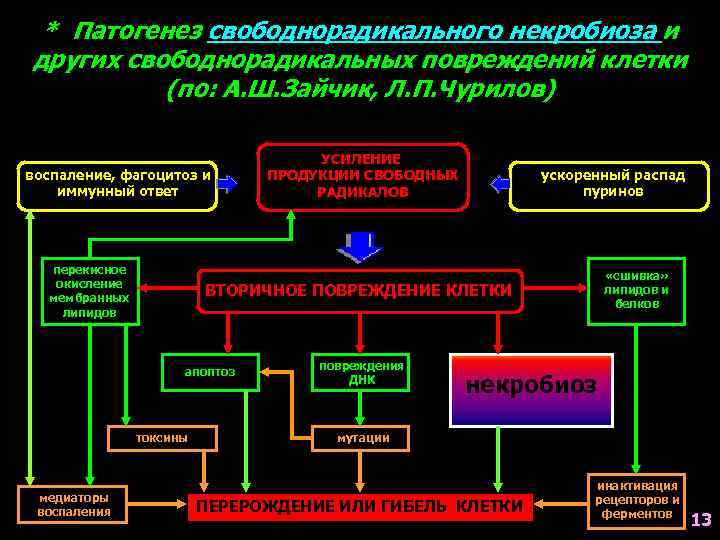 * Патогенез свободнорадикального некробиоза и других свободнорадикальных повреждений клетки (по: А. Ш. Зайчик, Л.