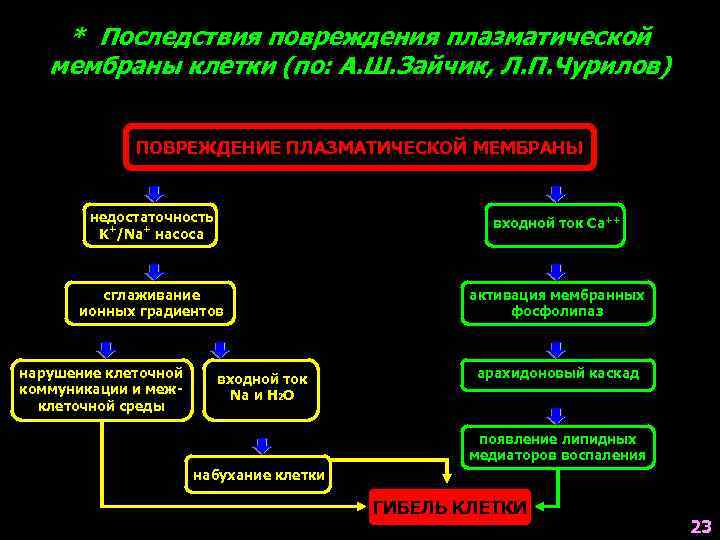 Нарушение мембран клетки. Последствия повреждения клетки. Последствия повреждения клеточной мембраны. Повреждение мембраны клетки. Факторы повреждения клеточных мембран.