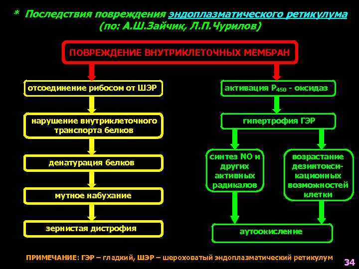 * Последствия повреждения эндоплазматического ретикулума (по: А. Ш. Зайчик, Л. П. Чурилов) ПОВРЕЖДЕНИЕ ВНУТРИКЛЕТОЧНЫХ