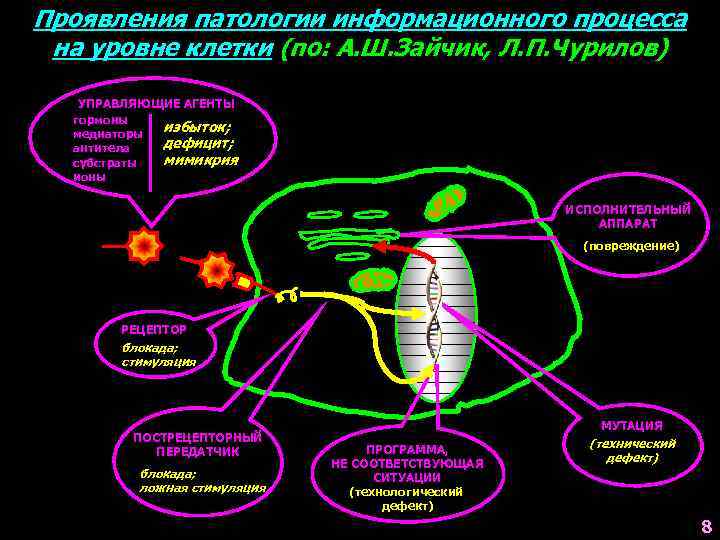 Проявления патологии информационного процесса на уровне клетки (по: А. Ш. Зайчик, Л. П. Чурилов)