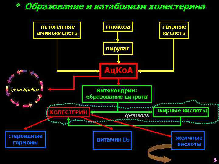 Образование мочи содержащей глюкозу аминокислоты витамины. Катаболизм холестерина. Образование холестерина. Холестерин цикл Кребса. Ассимиляция холестерола.