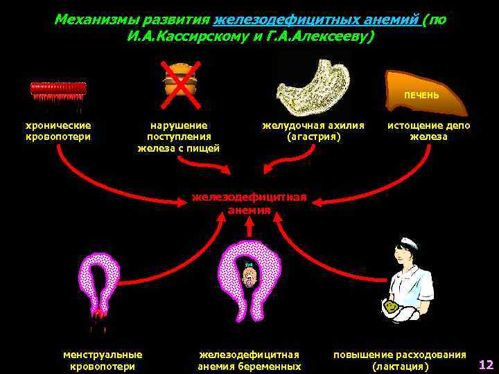 Механизмы развития железодефицитных анемий (по И. А. Кассирскому и Г. А. Алексееву) ПЕЧЕНЬ хронические