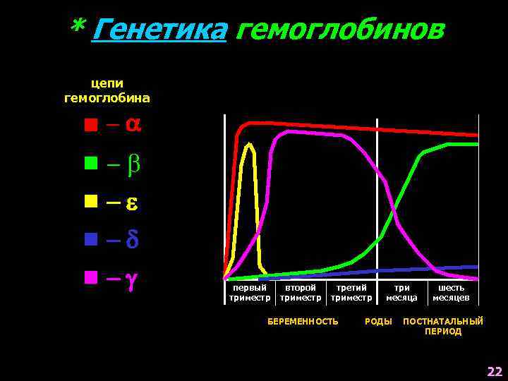 * Генетика гемоглобинов цепи гемоглобина - -b -e - - первый триместр второй триместр