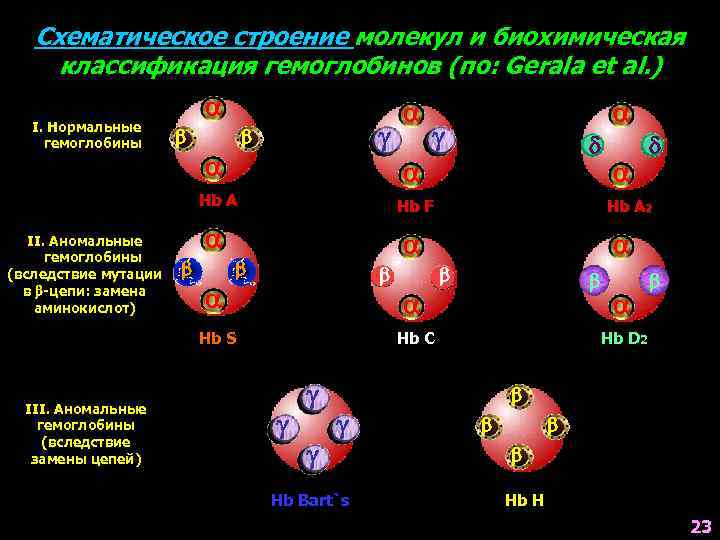 Схематическое строение молекул и биохимическая классификация гемоглобинов (по: Gerala et al. ) I. Нормальные