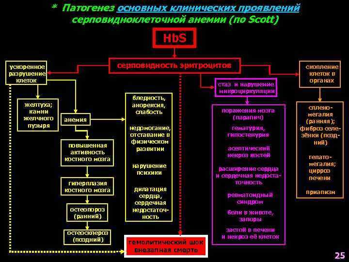 * Патогенез основных клинических проявлений серповидноклеточной анемии (по Scott) Hb. S серповидность эритроцитов ускоренное