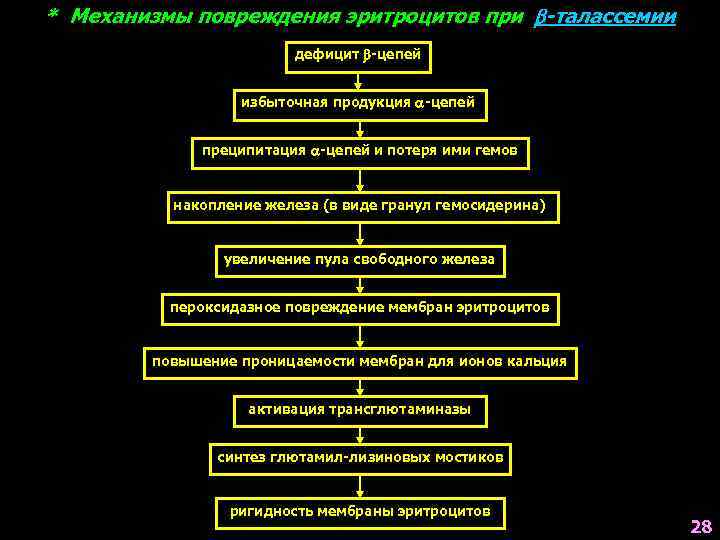 * Механизмы повреждения эритроцитов при -талассемии дефицит -цепей избыточная продукция -цепей преципитация -цепей и