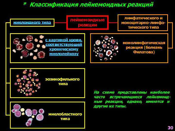 * Классификация лейкемоидных реакций миелоидного типа лейкемоидные реакции с картиной крови, соответствующей хроническому миелолейкозу