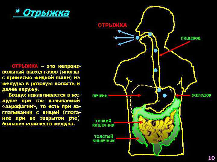 * Отрыжка ЗАГЛАТЫВАНИЕ ВОЗДУХА ОТРЫЖКА ПИЩЕВОД ОТРЫЖКА – это непроизвольный выход газов (иногда с