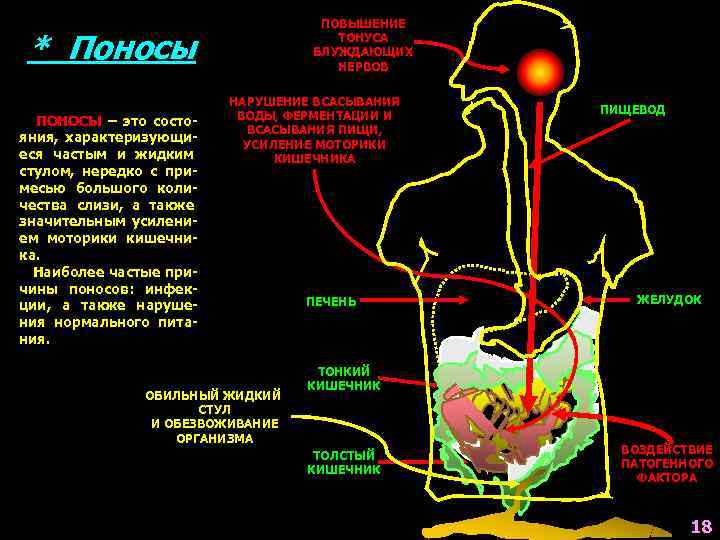 ПОВЫШЕНИЕ ТОНУСА БЛУЖДАЮЩИХ НЕРВОВ * Поносы ПОНОСЫ – это состояния, характеризующиеся частым и жидким
