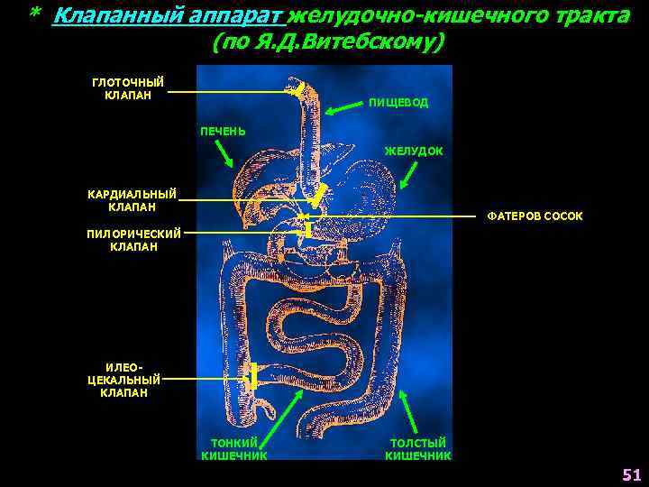 Грыжа клапана пищевода