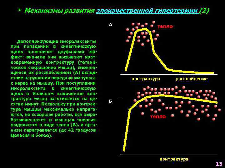 * Механизмы развития злокачественной гипертермии (2) А Деполяризующие миорелаксанты при попадании в синаптическую щель