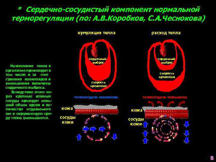 * Сердечно-сосудистый компонент нормальной терморегуляции (по: А. В. Коробков, С. А. Чеснокова) кумуляция тепла
