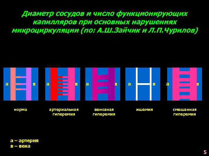 Диаметр сосудов и число функционирующих капилляров при основных нарушениях микроциркуляции (по: А. Ш. Зайчик