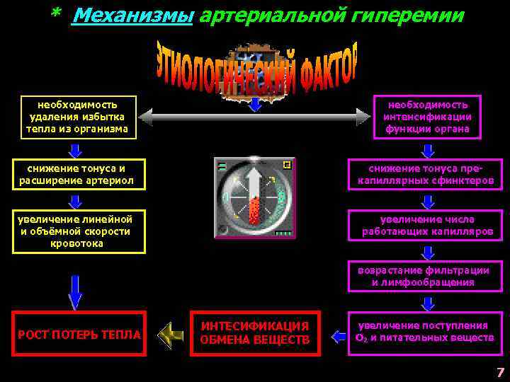 * Механизмы артериальной гиперемии необходимость удаления избытка тепла из организма необходимость интенсификации функции органа