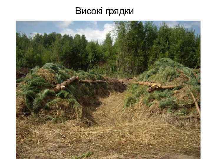 Високі грядки 