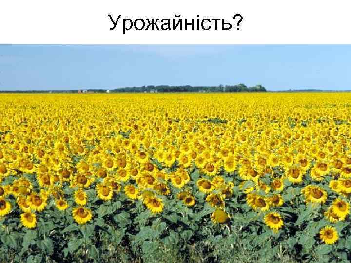 Урожайність? 
