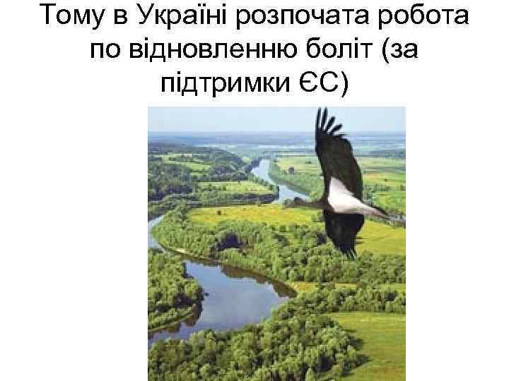 Тому в Україні розпочата робота по відновленню боліт (за підтримки ЄС) 