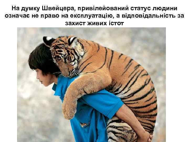 На думку Швейцера, привілейований статус людини означає не право на експлуатацію, а відповідальність за