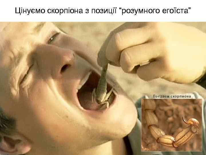 Цінуємо скорпіона з позиції “розумного егоїста” 