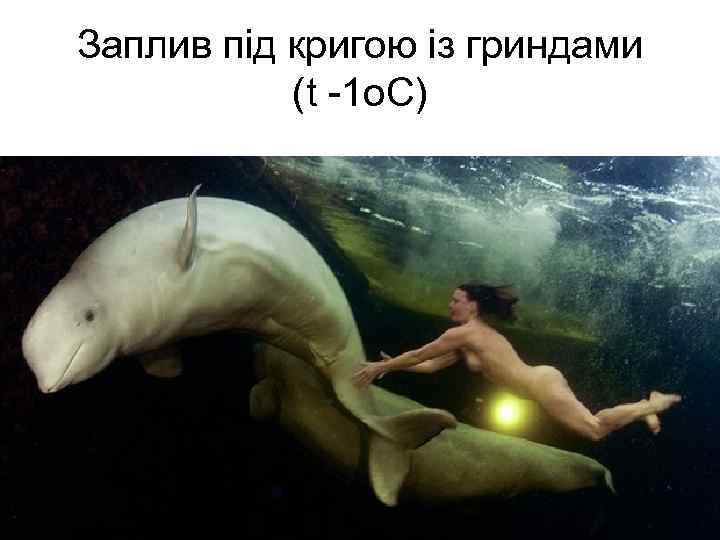 Заплив під кригою із гриндами (t -1 о. С) 