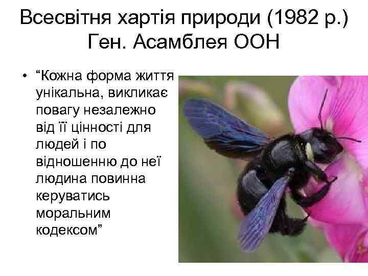 Всесвітня хартія природи (1982 р. ) Ген. Асамблея ООН • “Кожна форма життя унікальна,