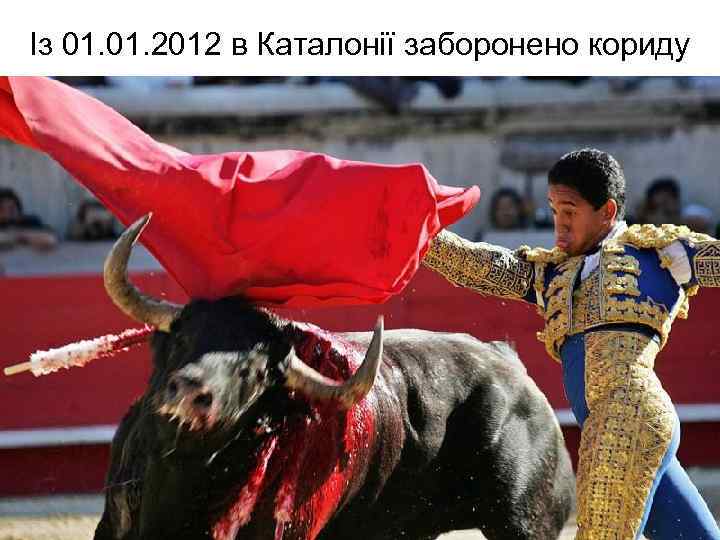 Із 01. 2012 в Каталонії заборонено кориду 