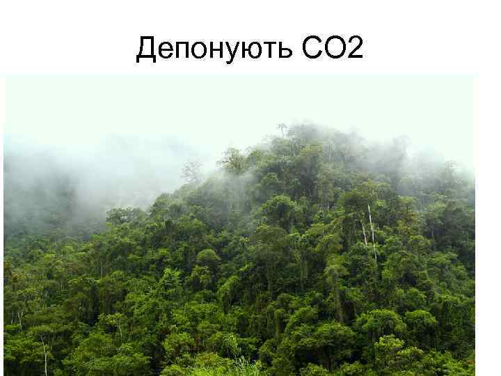 Депонують СО 2 