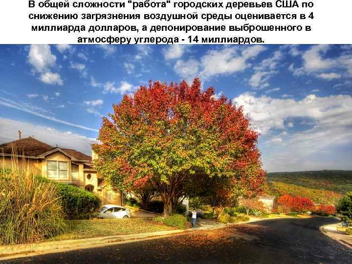 В общей сложности 