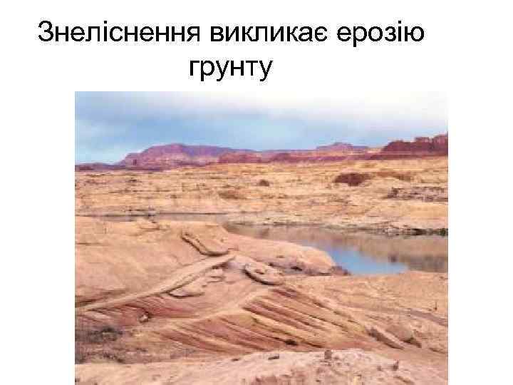 Знеліснення викликає ерозію грунту 