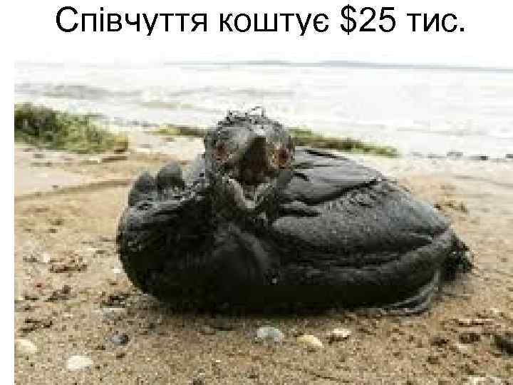 Співчуття коштує $25 тис. 