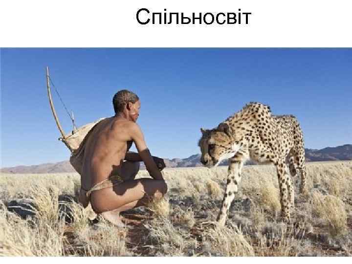 Спільносвіт 