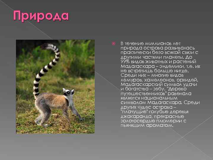 Эндемиком северной америки является животное. Мадагаскар презентация. Остров Мадагаскар презентация. Животные Мадагаскара презентация. Интересные факты о Мадагаскаре.