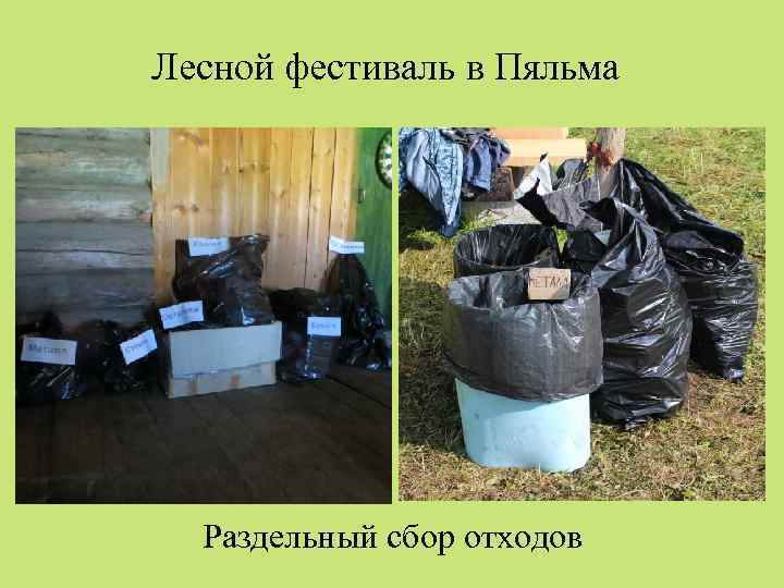 Лесной фестиваль в Пяльма Раздельный сбор отходов 