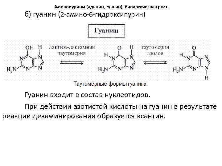 Таутомерия аденина. Дезаминирование аденина реакция. Гидроксилировании гуанина. Химическая формула гуанина. Медико биологическое значение гуанина.