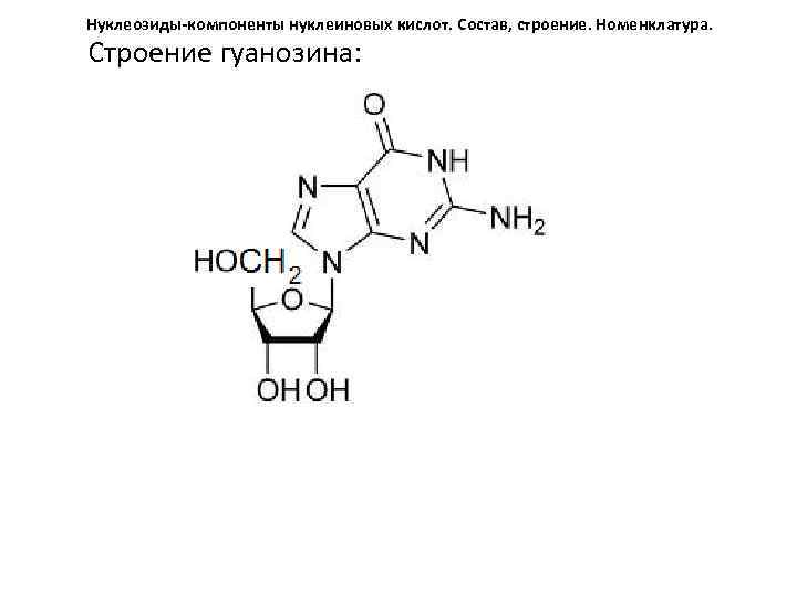 Схема образования гуанозина