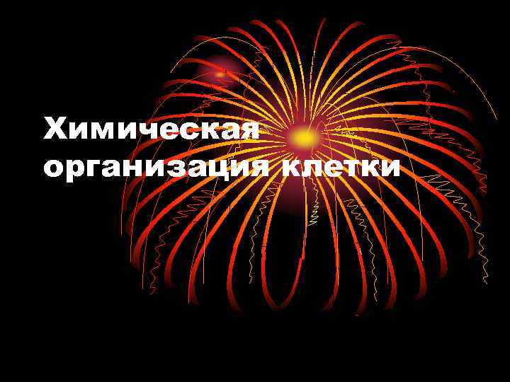 Химическая организация клетки 