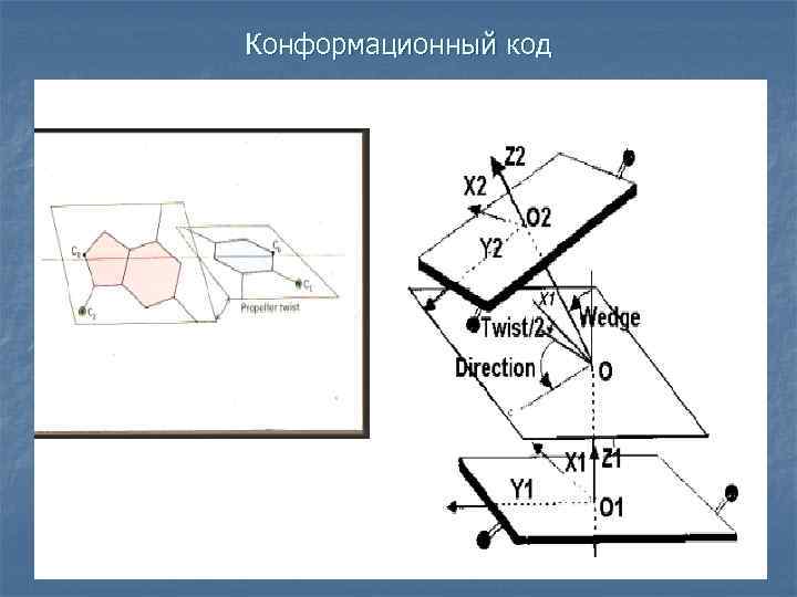 Конформационный код 