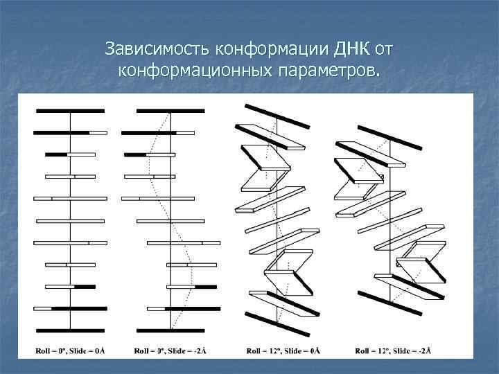 Зависимость конформации ДНК от конформационных параметров. 