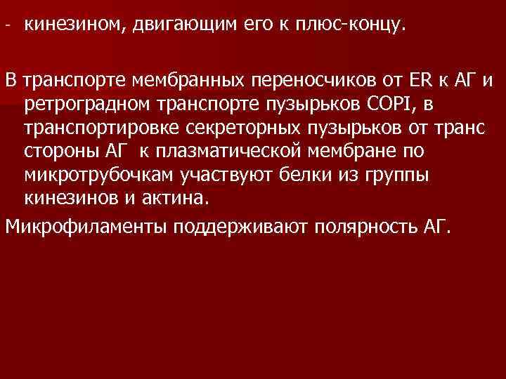 - кинезином, двигающим его к плюс-концу. В транспорте мембранных переносчиков от ER к АГ