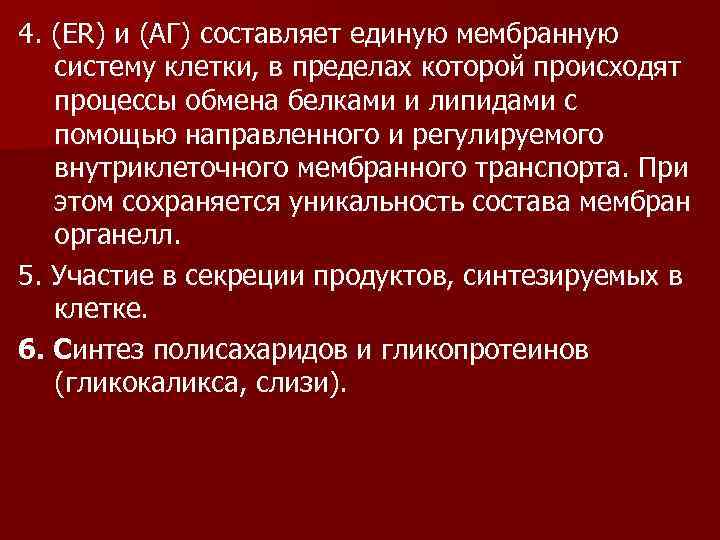 4. (ER) и (АГ) составляет единую мембранную систему клетки, в пределах которой происходят процессы