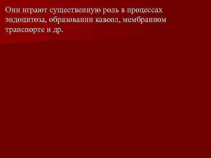 Они играют существенную роль в процессах эндоцитоза, образовании кавеол, мембранном транспорте и др. 
