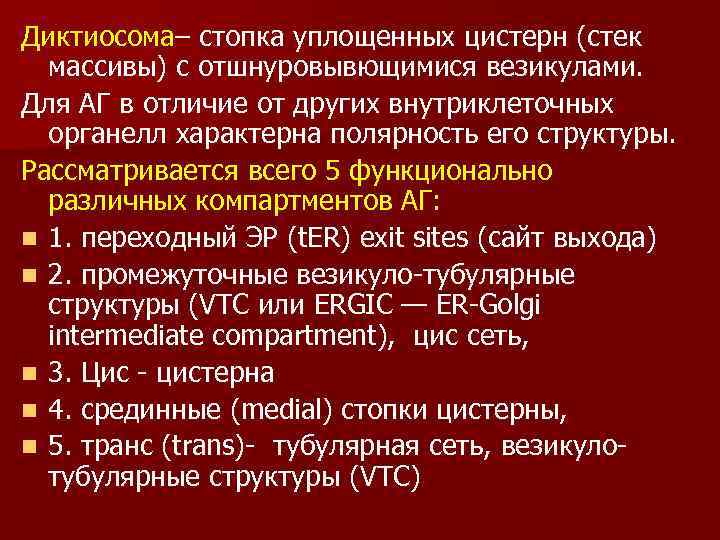 Диктиосома– стопка уплощенных цистерн (стек массивы) с отшнуровывющимися везикулами. Для АГ в отличие от