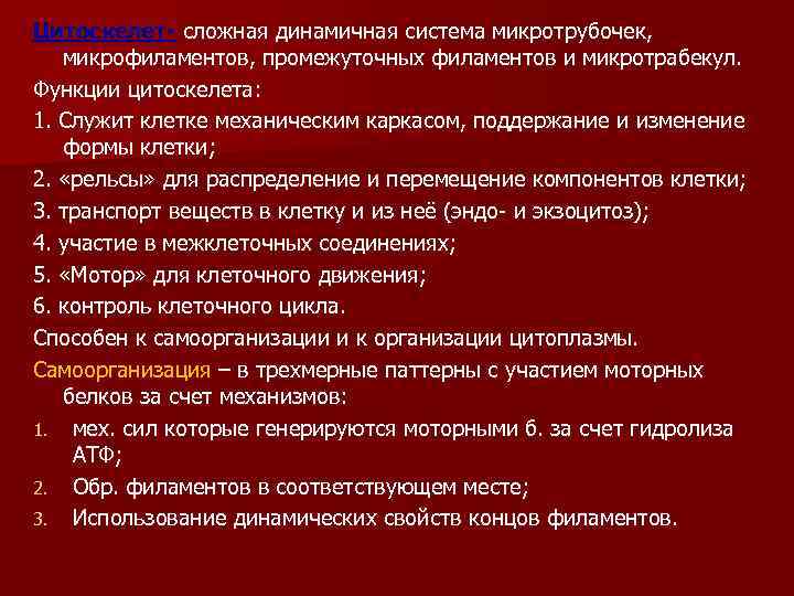 Цитоскелет- сложная динамичная система микротрубочек, микрофиламентов, промежуточных филаментов и микротрабекул. Функции цитоскелета: 1. Служит
