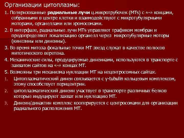 Организации цитоплазмы: 1. Поляризованные радиальные лучи ц. микротрубочек (MTs) с «-» концами, собранными в