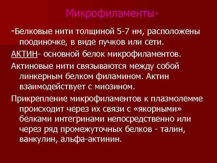 Микрофиламенты-Белковые нити толщиной 5 -7 нм, расположены поодиночке, в виде пучков или сети. АКТИН-