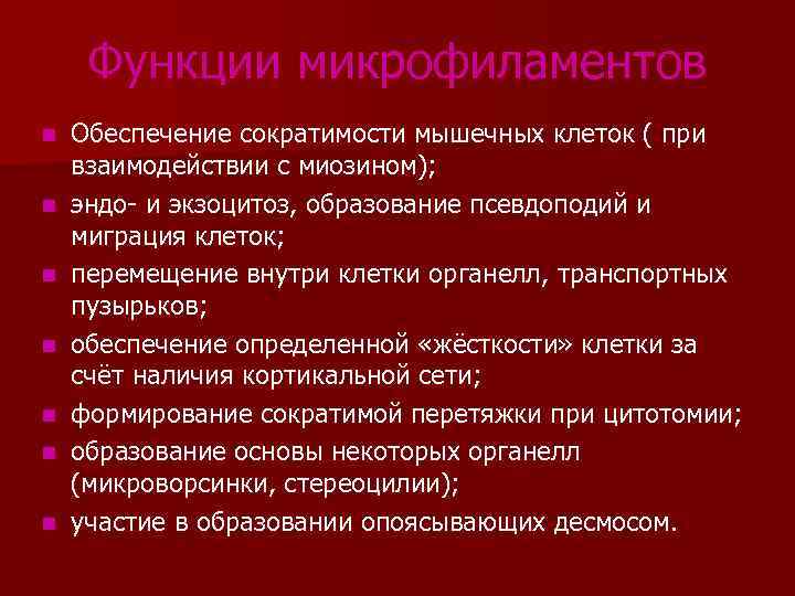Функции микрофиламентов n n n n Обеспечение сократимости мышечных клеток ( при взаимодействии с