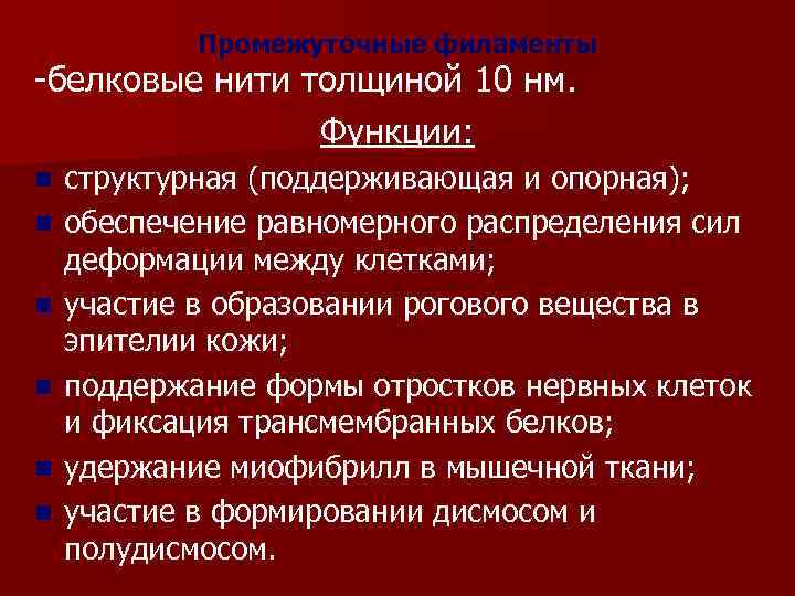 Промежуточные филаменты -белковые нити толщиной 10 нм. Функции: n n n структурная (поддерживающая и