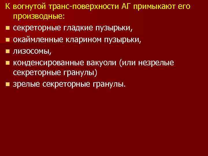 К вогнутой транс-поверхности АГ примыкают его производные: n секреторные гладкие пузырьки, n окаймленные кларином