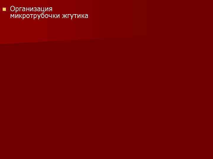 n Организация микротрубочки жгутика 